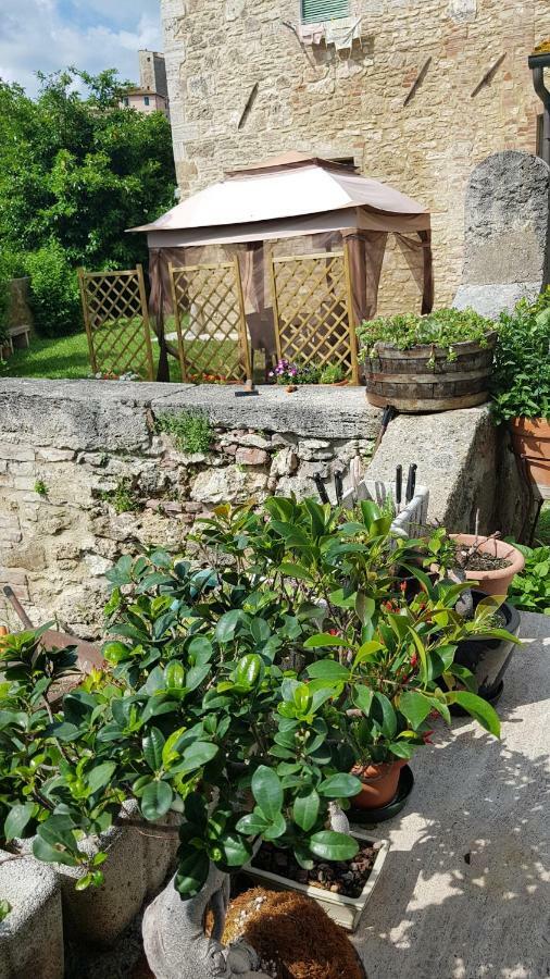 San Paterno B&B Rapolano Terme Exteriér fotografie