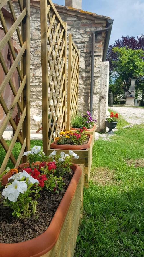 San Paterno B&B Rapolano Terme Exteriér fotografie