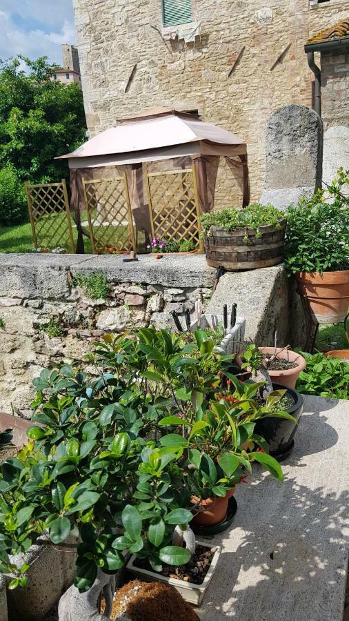San Paterno B&B Rapolano Terme Exteriér fotografie