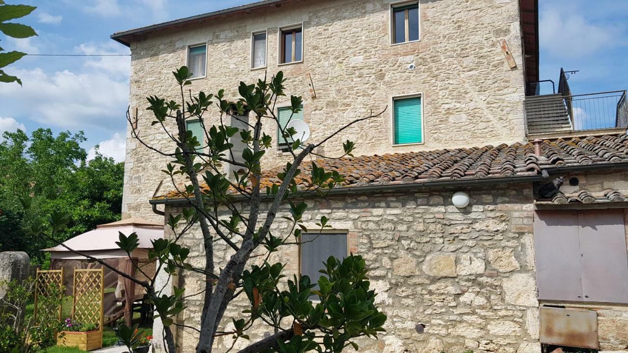 San Paterno B&B Rapolano Terme Exteriér fotografie