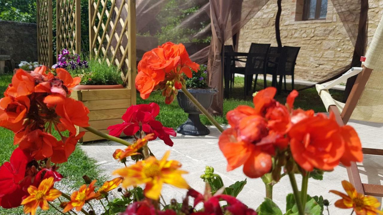 San Paterno B&B Rapolano Terme Exteriér fotografie