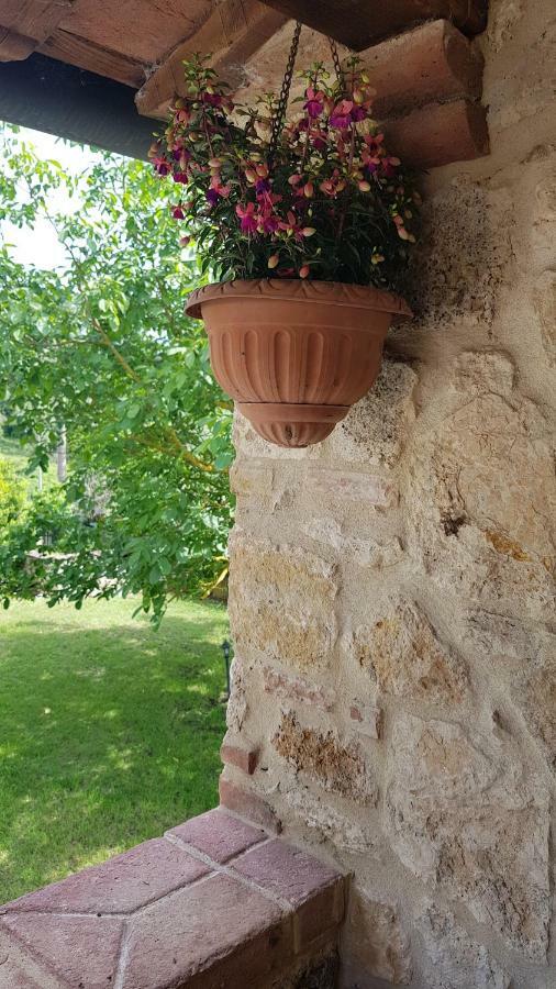 San Paterno B&B Rapolano Terme Exteriér fotografie
